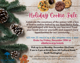 2024 Holiday Cookie Sale