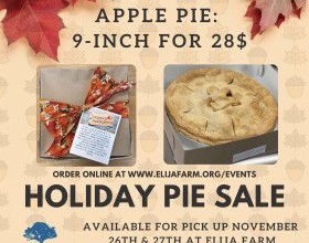 2024 Apple Pie Sale