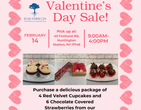 Valentine's Day Sale 