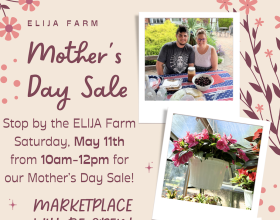 Walk-In Mother's Day Sale