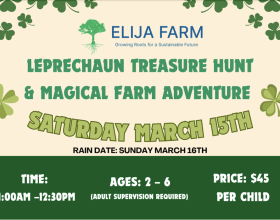 Leprechaun Treasure Hunt & Magical Farm Adventure