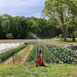 Farm Explorer Intermediate Class