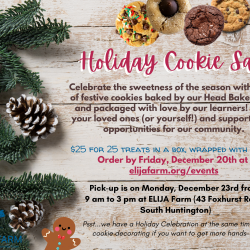 2024 Holiday Cookie Sale