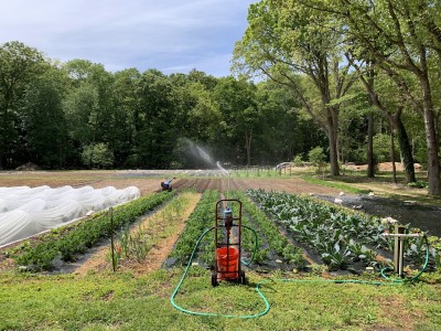 Farm Explorer Intermediate Class